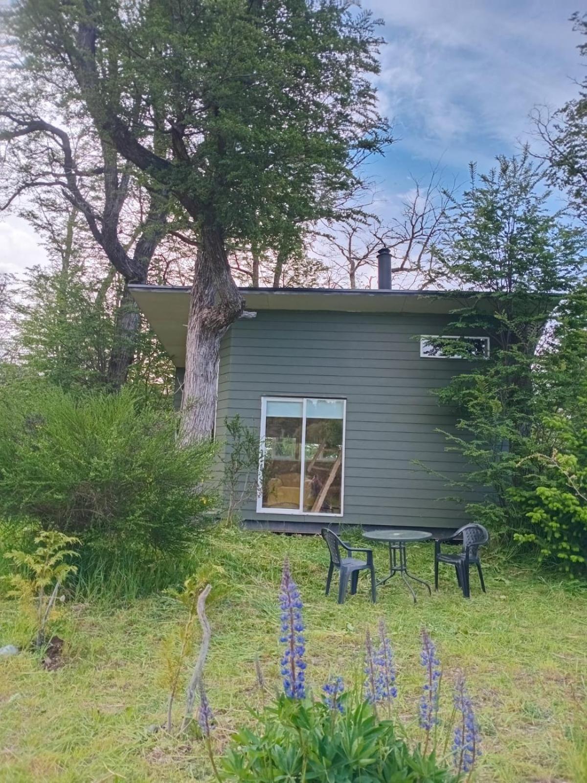 Tiny House Del Bosque Apartment Coyhaique Exterior photo